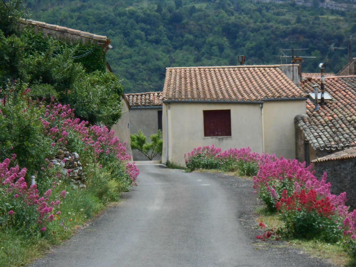Maison Palmeral Coustaussa Exterior foto